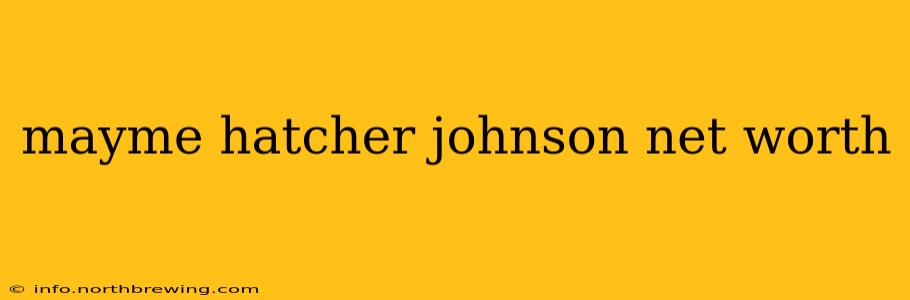 mayme hatcher johnson net worth