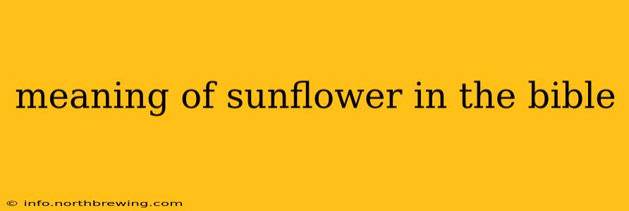 meaning of sunflower in the bible