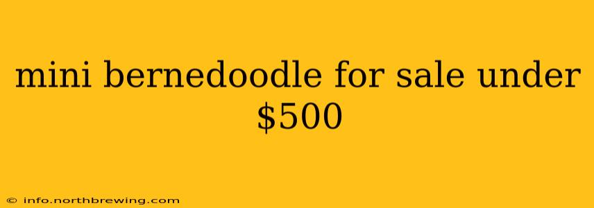 mini bernedoodle for sale under $500