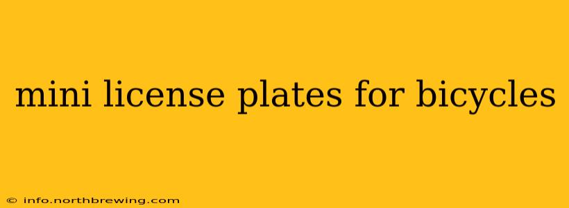 mini license plates for bicycles
