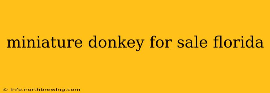 miniature donkey for sale florida