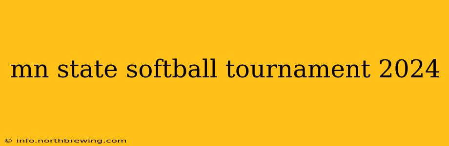 mn state softball tournament 2024