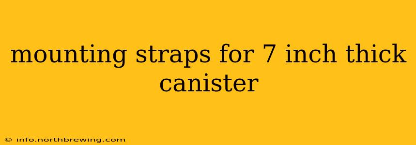mounting straps for 7 inch thick canister