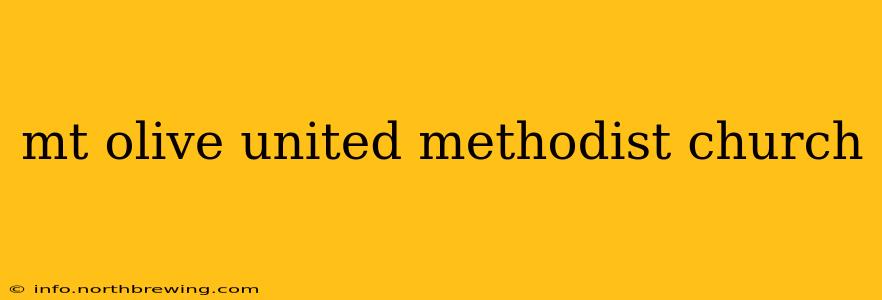 mt olive united methodist church