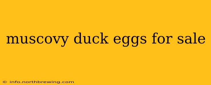 muscovy duck eggs for sale