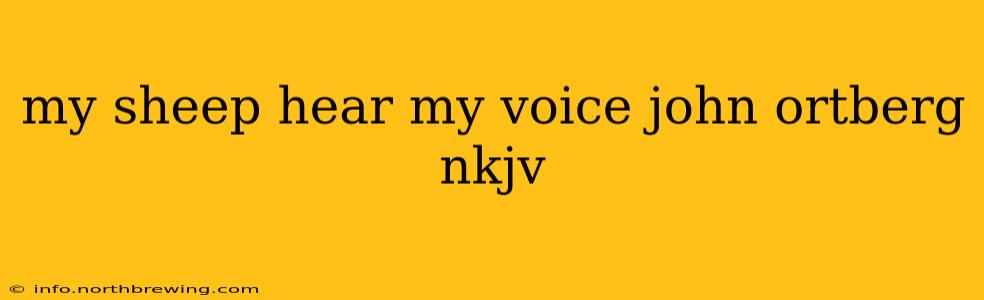 my sheep hear my voice john ortberg nkjv
