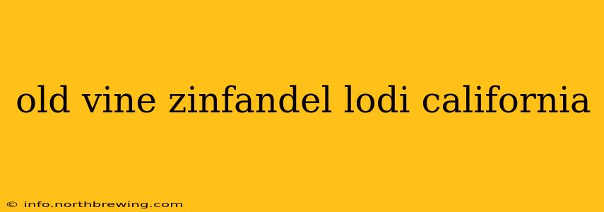 old vine zinfandel lodi california