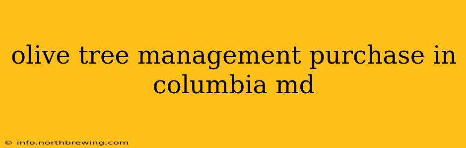 olive tree management purchase in columbia md