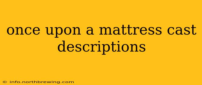 once upon a mattress cast descriptions
