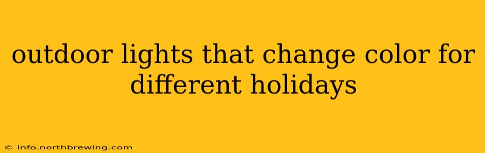 outdoor lights that change color for different holidays