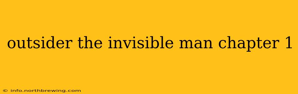 outsider the invisible man chapter 1