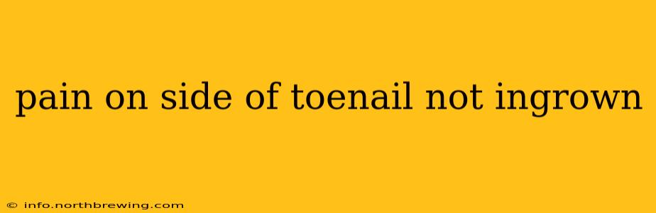 pain on side of toenail not ingrown