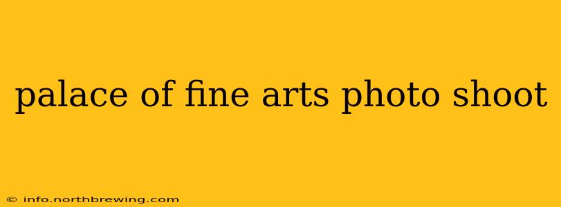 palace of fine arts photo shoot