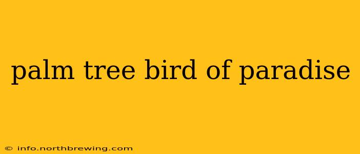 palm tree bird of paradise