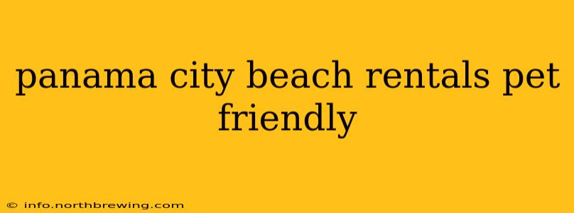 panama city beach rentals pet friendly