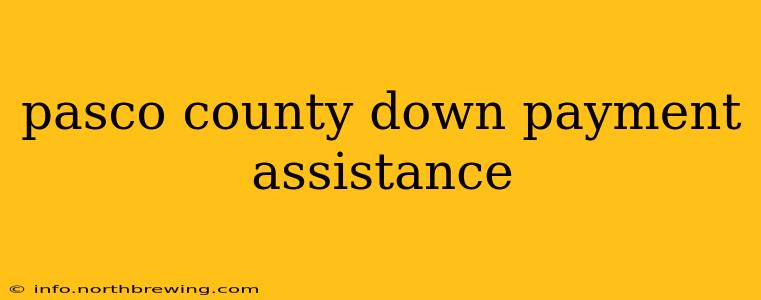 pasco county down payment assistance