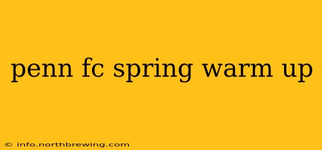 penn fc spring warm up