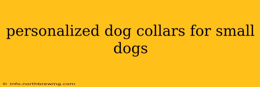 personalized dog collars for small dogs