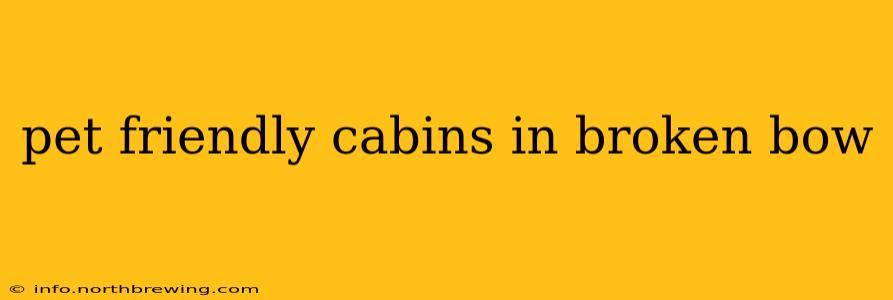 pet friendly cabins in broken bow
