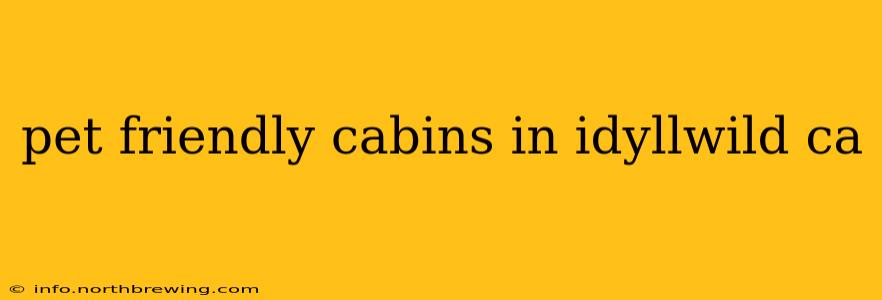 pet friendly cabins in idyllwild ca