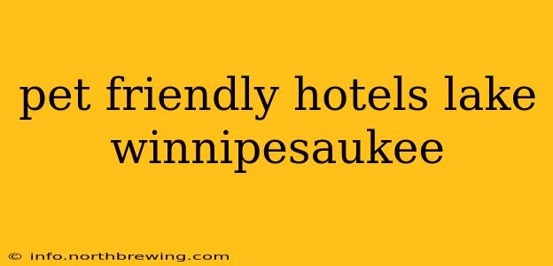pet friendly hotels lake winnipesaukee