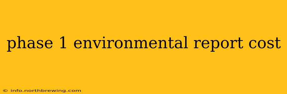 phase 1 environmental report cost