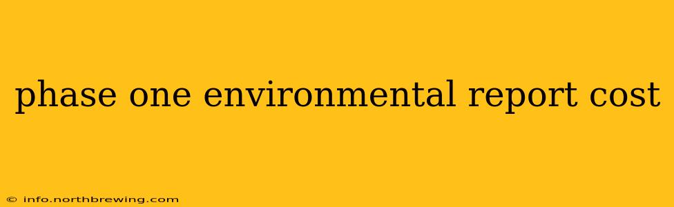 phase one environmental report cost