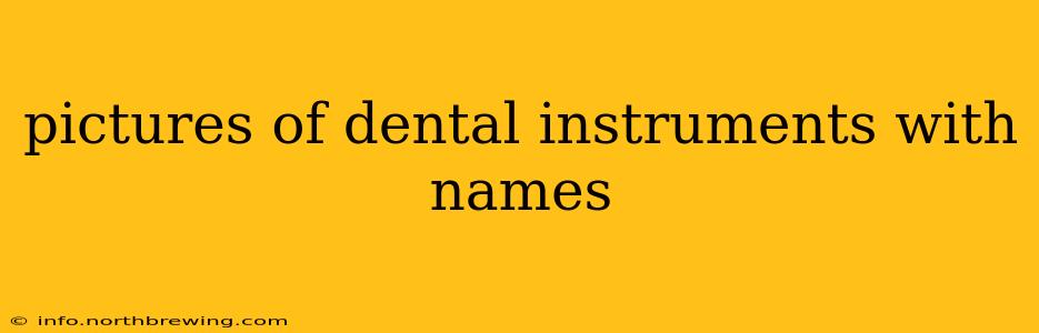 pictures of dental instruments with names
