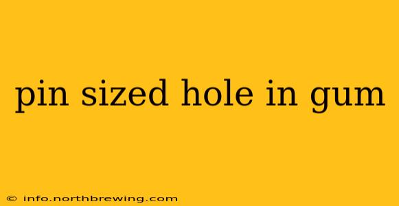 pin sized hole in gum
