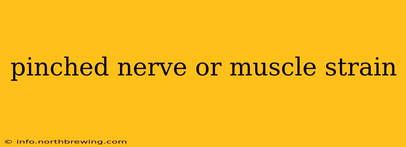 pinched nerve or muscle strain