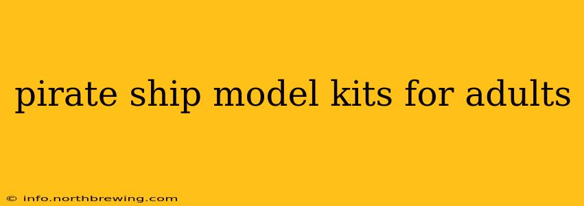 pirate ship model kits for adults