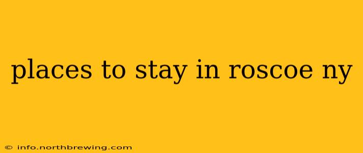 places to stay in roscoe ny
