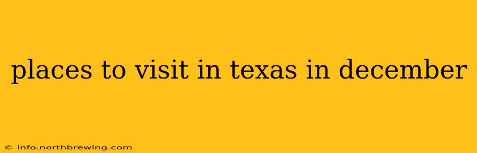 places to visit in texas in december