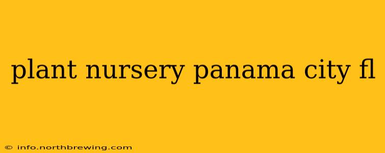 plant nursery panama city fl