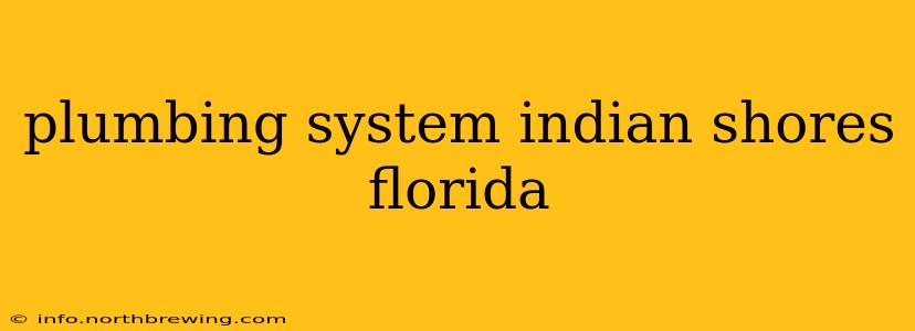 plumbing system indian shores florida