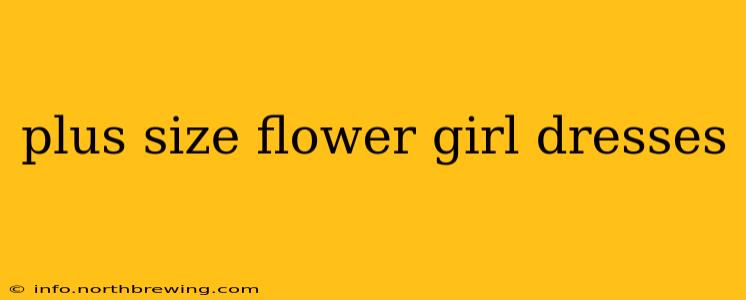 plus size flower girl dresses