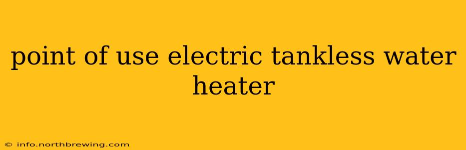 point of use electric tankless water heater