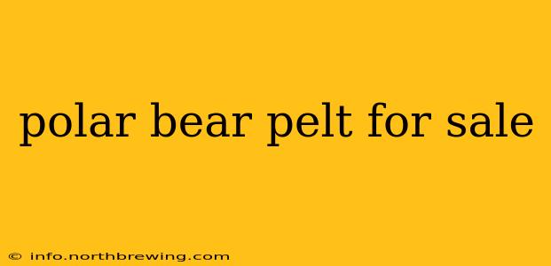 polar bear pelt for sale