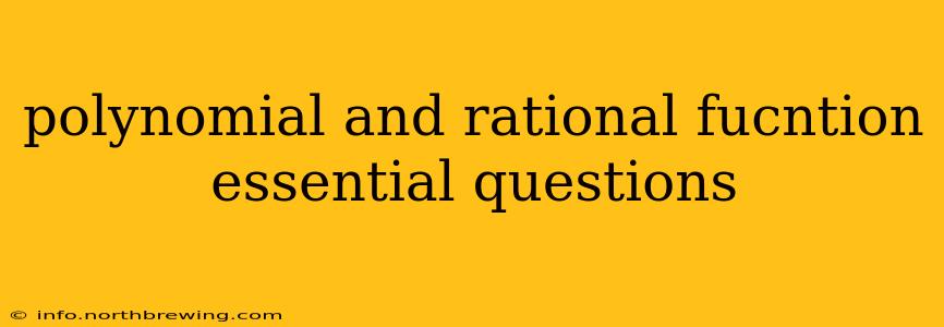 polynomial and rational fucntion essential questions