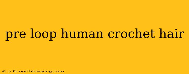 pre loop human crochet hair