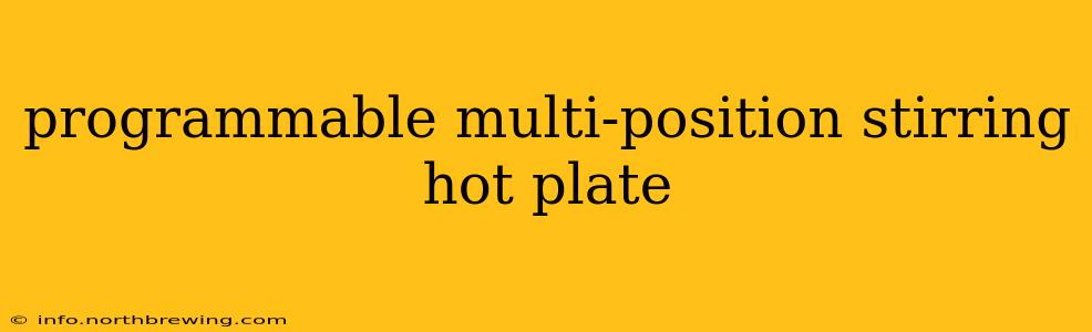 programmable multi-position stirring hot plate