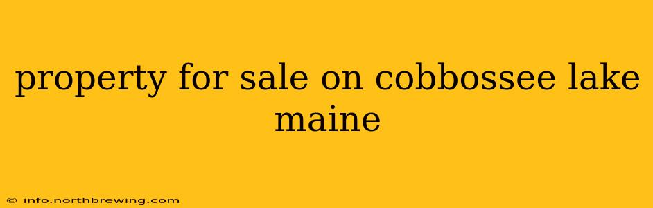 property for sale on cobbossee lake maine