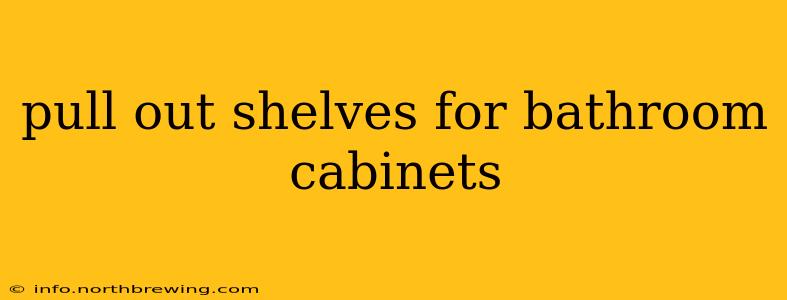 pull out shelves for bathroom cabinets