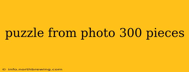 puzzle from photo 300 pieces