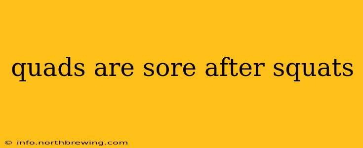 quads are sore after squats