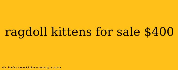 ragdoll kittens for sale $400