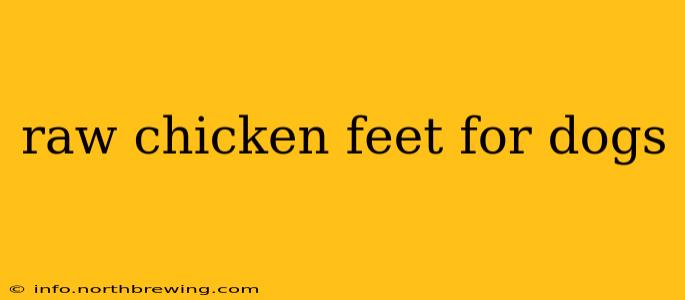 raw chicken feet for dogs