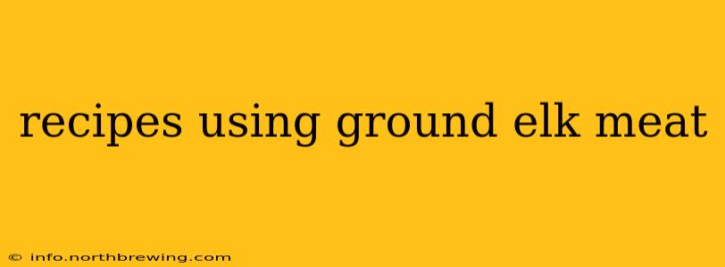 recipes using ground elk meat