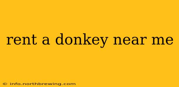 rent a donkey near me