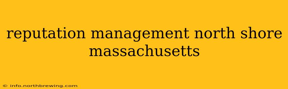 reputation management north shore massachusetts
